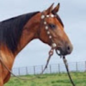 Meet your Posher, Jade